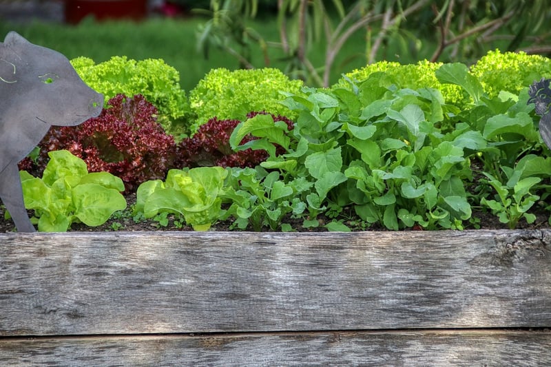 Raised Bed Planters